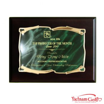 BẢNG VINH DANH 6704G