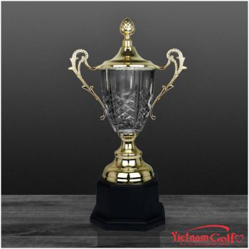 CÚP NGHỆ THUẬT 91V504