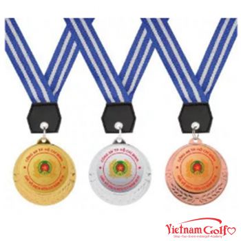 HUY CHƯƠNG 4V2870 - 4B2870 - 4D2870