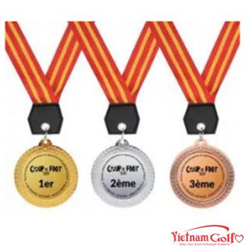 HUY CHƯƠNG 4V2970 - 4B2970 - 4D2970