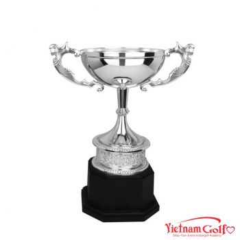 CÚP NGHỆ THUẬT 91B602