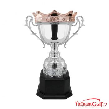 CÚP NGHỆ THUẬT 91D603