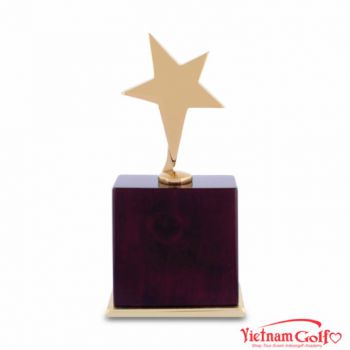 CÚP VINH DANH – 95V101