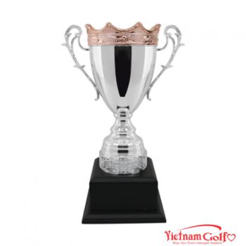 Cúp nghệ thuật kim loại 91D604