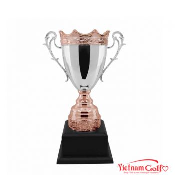 CÚP KIM LOẠI – 91D607