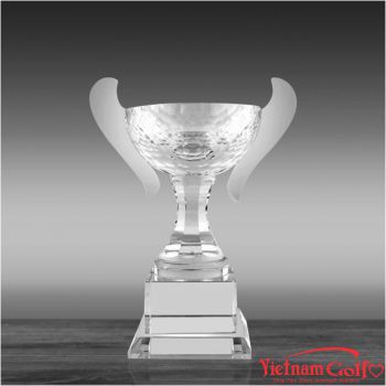 CÚP PHA LÊ – PL-17