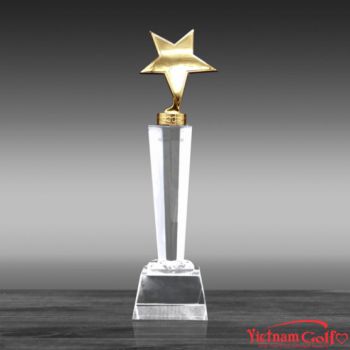 CÚP VINH DANH – PL-68